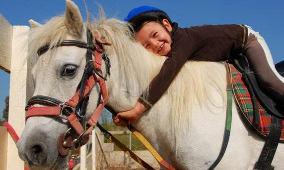 تاثیر اسب درمانی و زین های شبیه سازی شده بر علمکرد حرکتی کودکان فلج مغزی